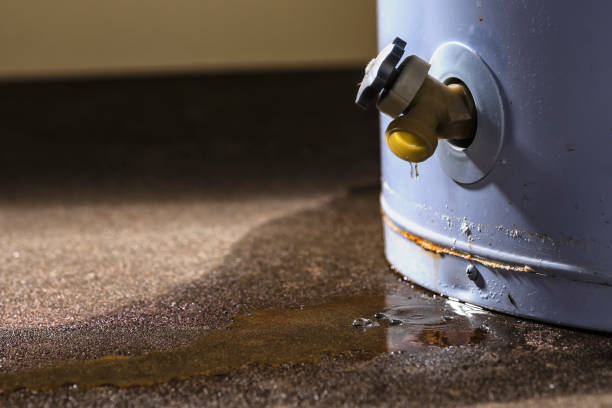 Trusted Lebanon, MO Water damage restoration Experts