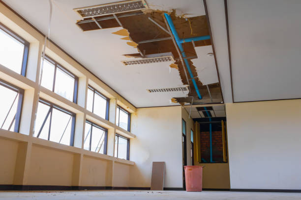 Best Flooded house restoration  in Lebanon, MO