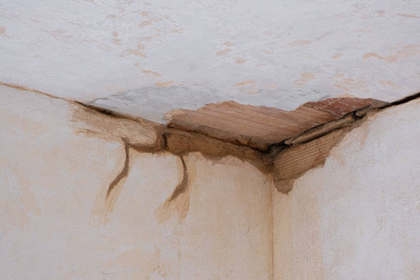 Best Flood restoration services  in Lebanon, MO