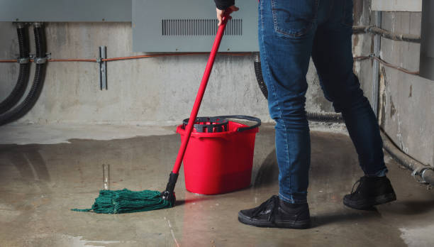 Best Water damage restoration mold remediation  in Lebanon, MO