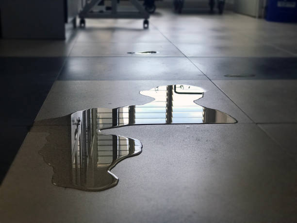 Best Water damage restoration near me  in Lebanon, MO