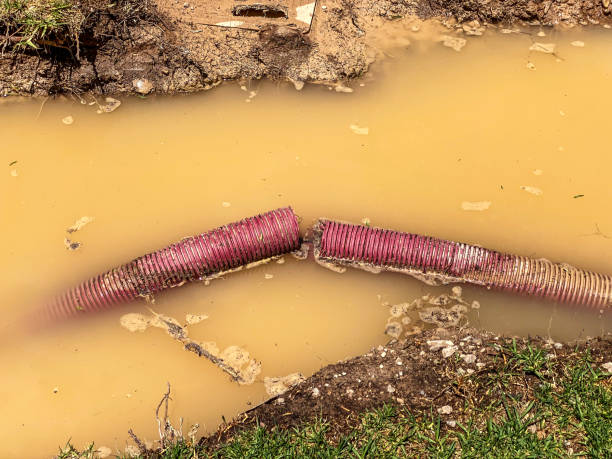Best Residential water damage restoration  in Lebanon, MO
